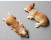 Dog  Fridge Magnets Set, Set of 4