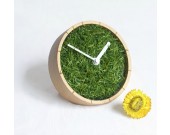 Grass Plant  Desk Clock