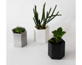 Handmade Hexagon Concrete Succulent Planter Flower Pot