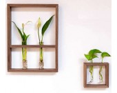 Hanging Flower Vase Bottles in Wood Stand