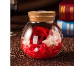 Never Withered Roses Led jar