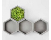 Hexagon Geometric Design Succulent Planter Pot, Gray