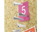 Paper Airplane Pushpins (set of 6)