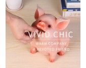 Pig Shaped Piggy Bank