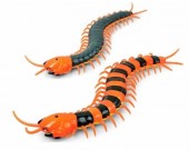 Remote Control Simulation Scolopendra