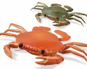 Remote Control Simulation Crab