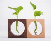 Test Tube Planter Flower Vase with Wooden Base Stand