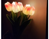 Tulip Night Light, Bedside Decorative Lamp