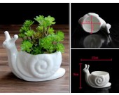 2 Pack White Ceramic  Snail Succulent Planter/Plant Pot/Flower Pot