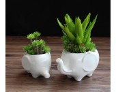 Elephant White Ceramic Succulent Planter/Plant Pot/Flower Pot,Set of 2