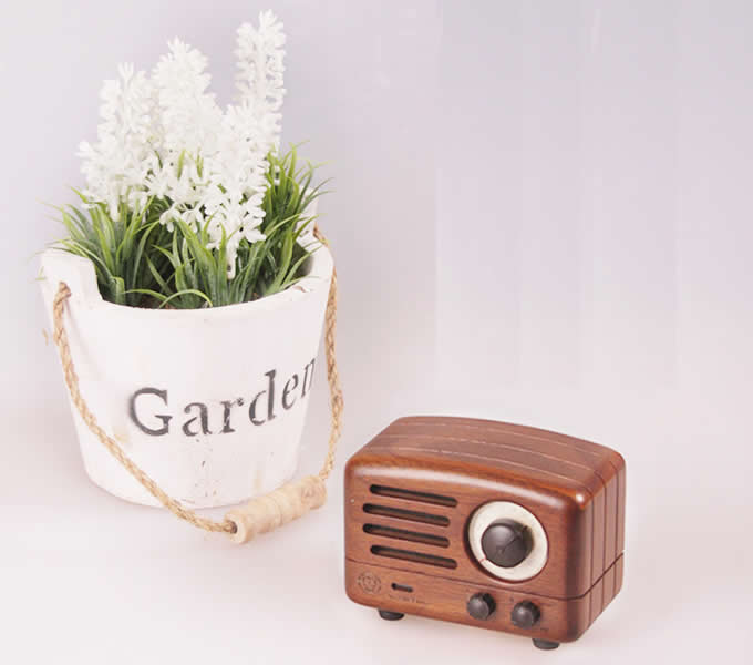 Bluetooth Wooden Speaker and FM Radio