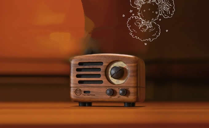 Bluetooth Wooden Speaker and FM Radio