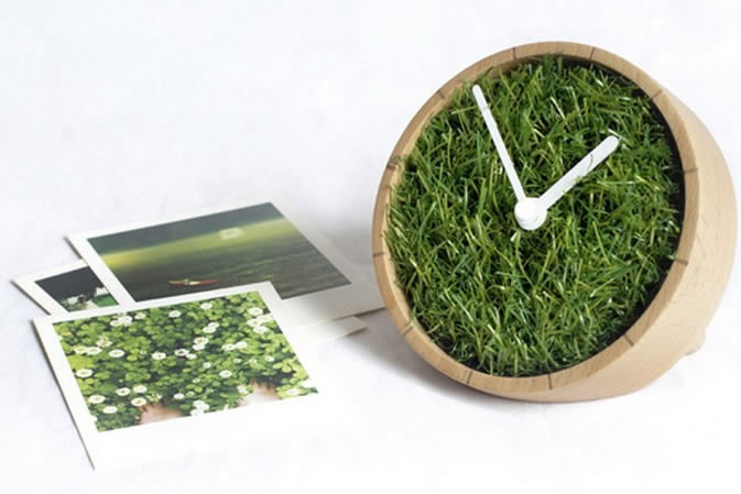 Grass Plant  Desk Clock