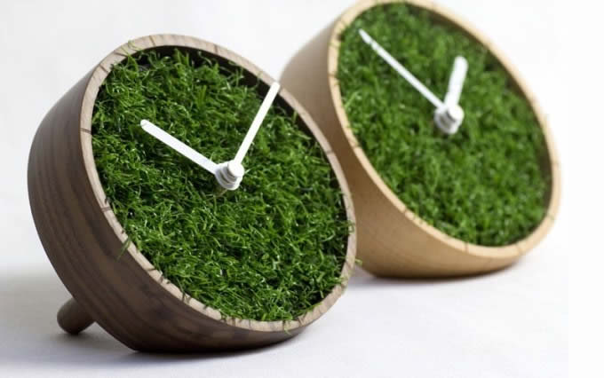 Grass Plant  Desk Clock
