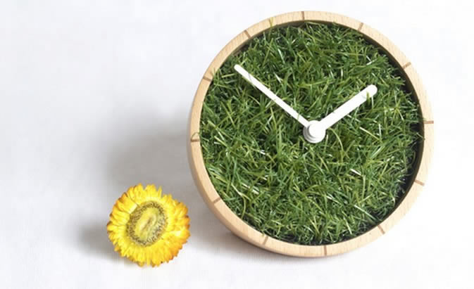 Grass Plant  Desk Clock