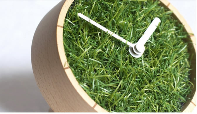 Grass Plant  Desk Clock