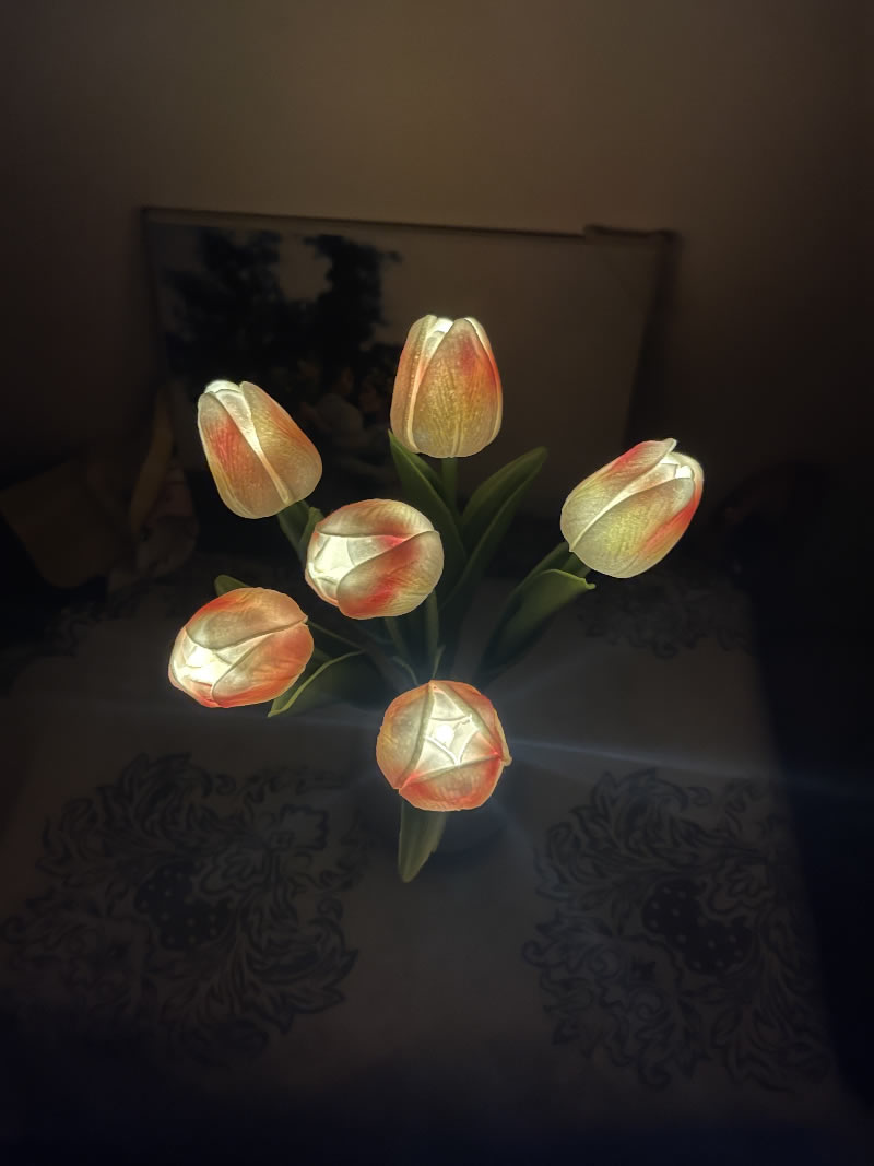 Tulip Night Light, Bedside Decorative Lamp