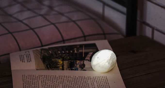 Egg LED Night Light 