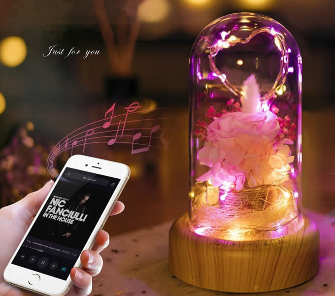   Portable LED Night Light Bottle Bluetooth Speaker 