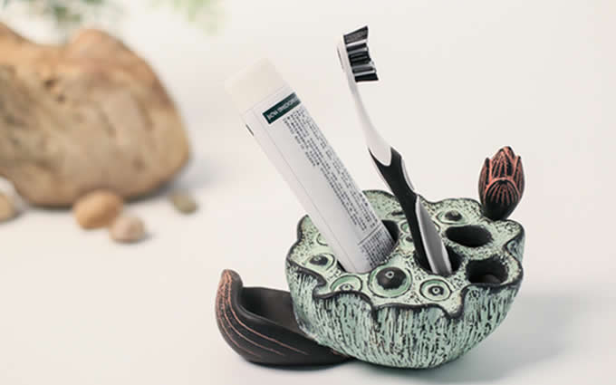  Lotus Seedpod Toothbrush Toothpaste Stand Holder  