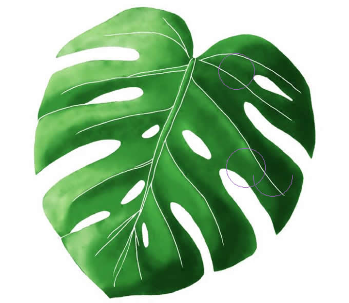 Leaf shape Soft Air Conditioning Blanket-Monstera Leaf
