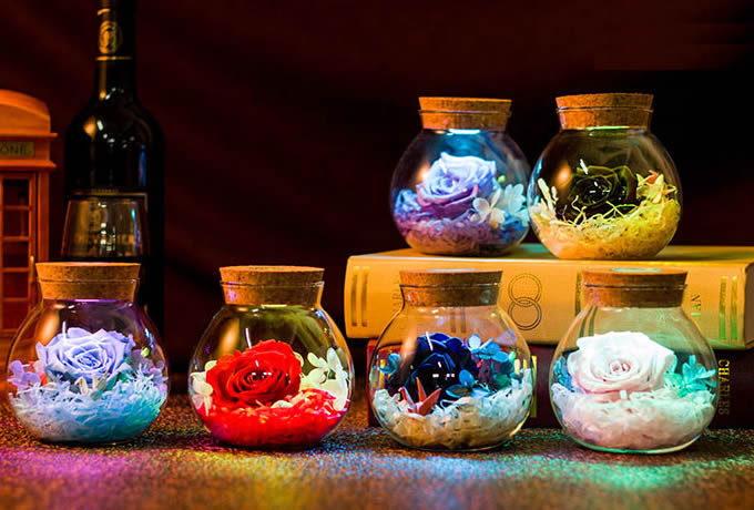  Never Withered Roses Led jar