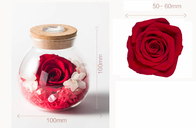  Never Withered Roses Led jar
