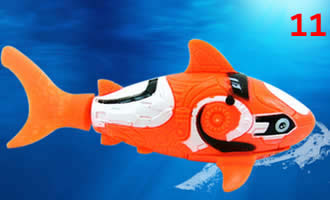 Robotic Fish