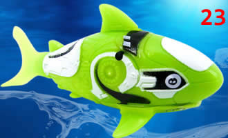 Robotic Fish