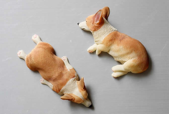 Dog  Fridge Magnets Set, Set of 4