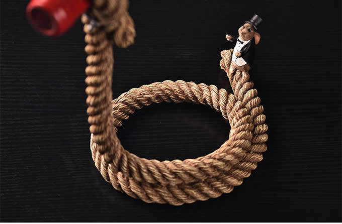   Magic Lasso Rope Wine Bottle Holder