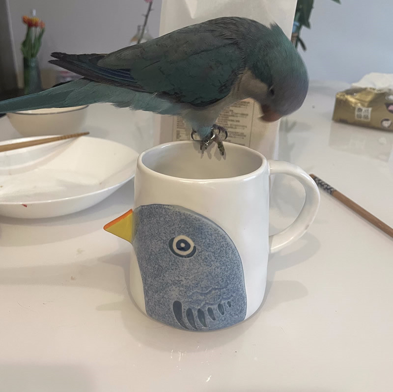 Whimsical Bird Ceramic Mug