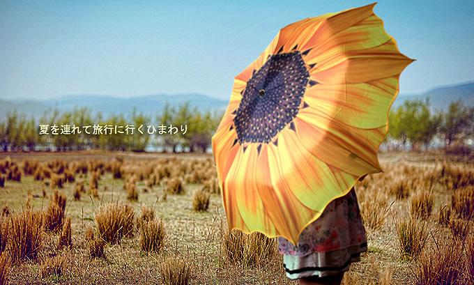 Sunflower Style 3 Folding Travel Umbrella 