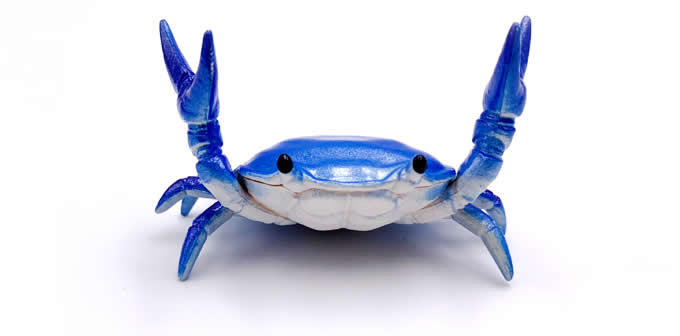   Crab  Single Pen Stand  