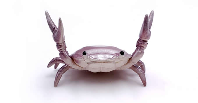   Crab  Single Pen Stand  