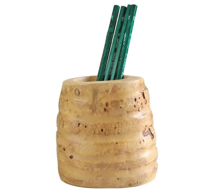    Nature Bamboo Root Pen Pencil Holder  