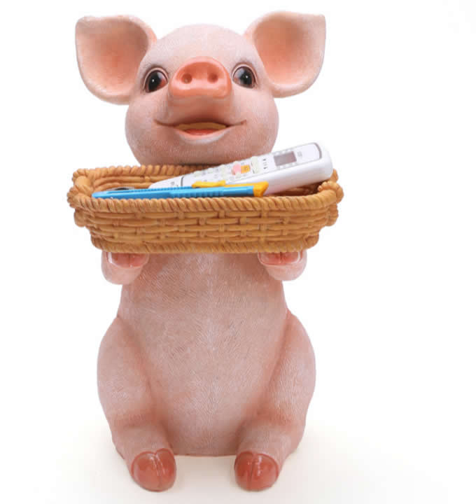 Pig  Pen Pencil Holder Desk Organizer