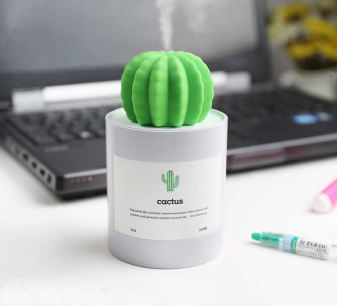  Cactus Shaped Mist Humidifier 