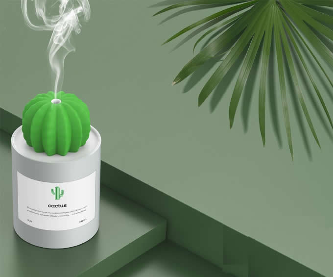  Cactus Shaped Mist Humidifier 