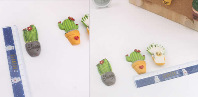  Set of 8  Cactus Shaped Push Pins