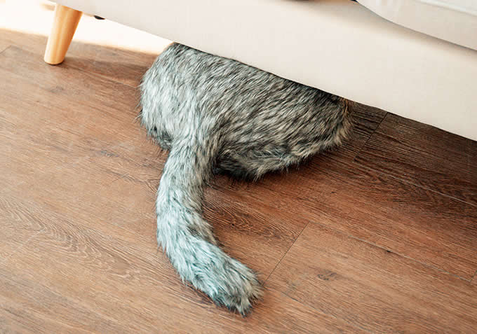  3D Pizza  Seat Cushion Pillow 