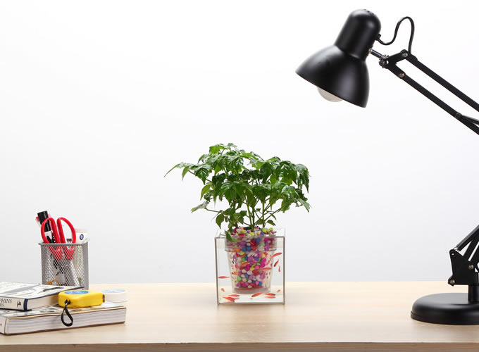 Double-deck Self-Watering Desk Potted Plant