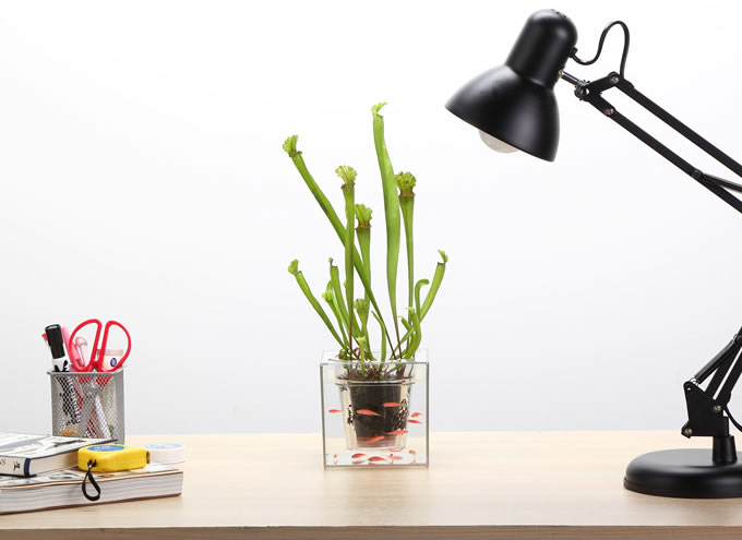 Double-deck Self-Watering Desk Potted Plant