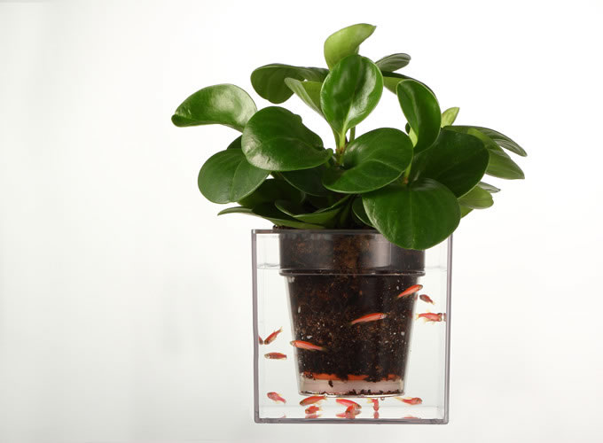 Double-deck Self-Watering Desk Potted Plant