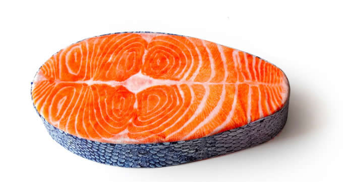 Fish Pillow Cushion