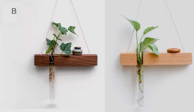  Wall Hanging Planter Test Tube Flower Bud Vase with Wood Stand
