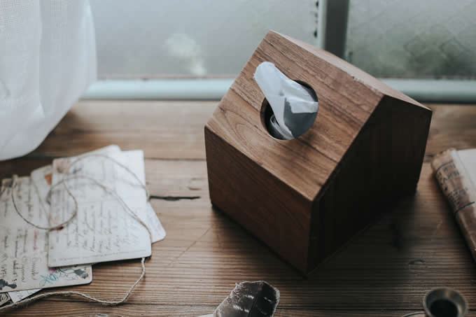 Black Walnut Wooden House Design Tissue Box