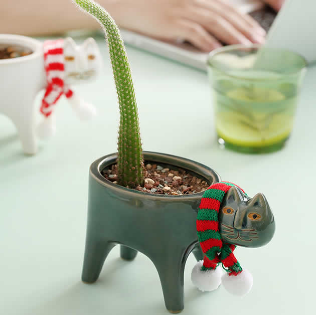 Cute Cartoon Cat Pastoral Cactus Plant Small Flower Pot