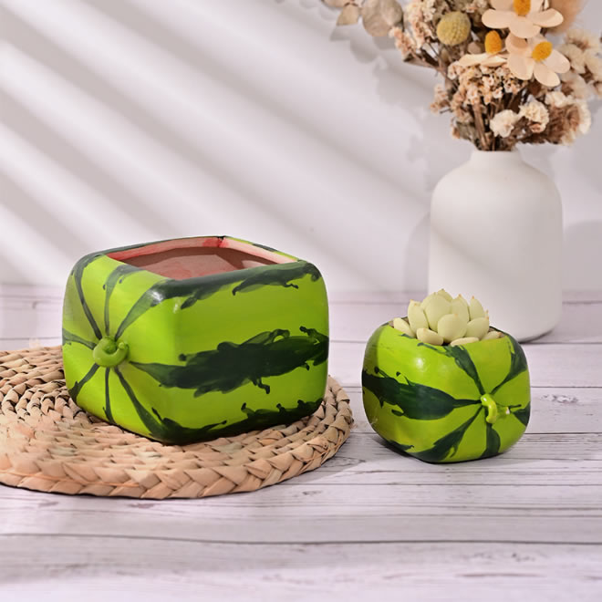 Creative Watermelon Shaped Small Flower Pot