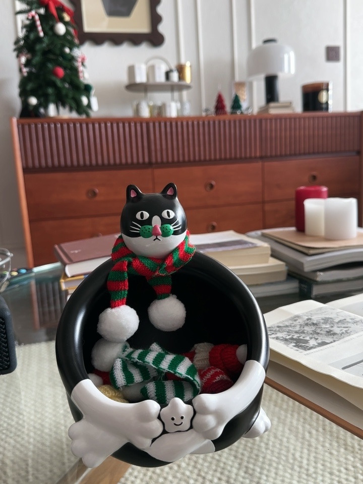 Big Painted Face Cat Storage Tray, Desktop Decoration Organezie